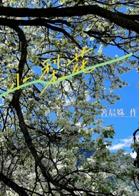 小梨花(校园hamp;amp;amp;amp;1V1)